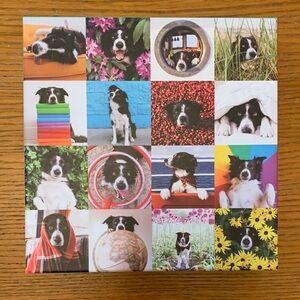 500 piece Momo the Dog Puzzle